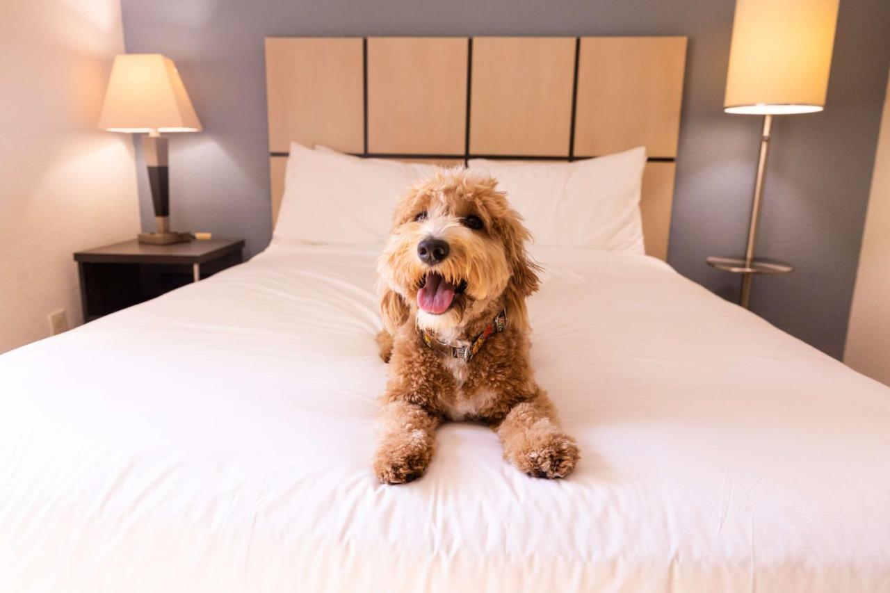 Sonesta Simply Suites Chicago Waukegan Buitenkant foto